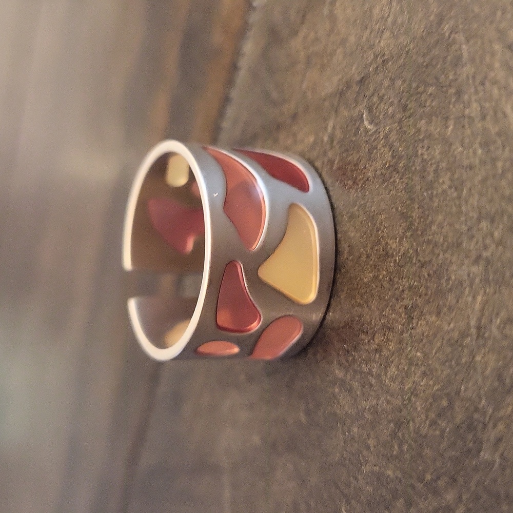 Brushed Stainless Steel With Cut-out Inlay Ring